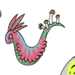 Thumbnail for CMPN-A-0001