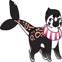 NPC-002: Orca
