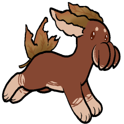 Thumbnail for SQB-GA-0196: Maple