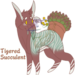 Thumbnail for SQB-A-0079: Succulent