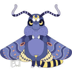 Thumbnail image for SQB-O-0080: Mothus