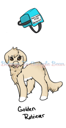 Thumbnail image for SQB-GA-0335: Sadie
