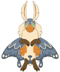 Thumbnail for SQB-MYO-0126: Sparrow
